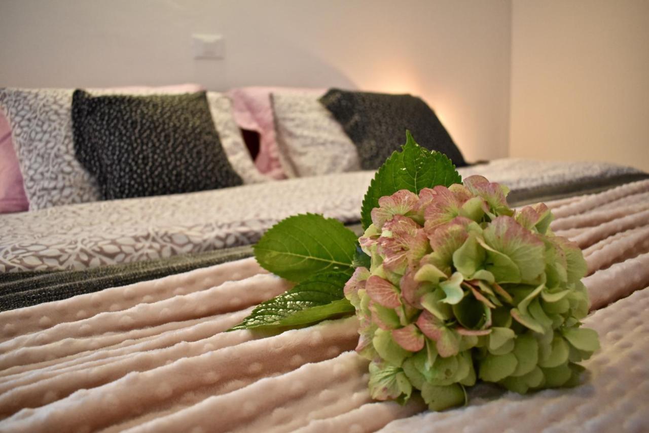 בלד Rooms Ravnik מראה חיצוני תמונה